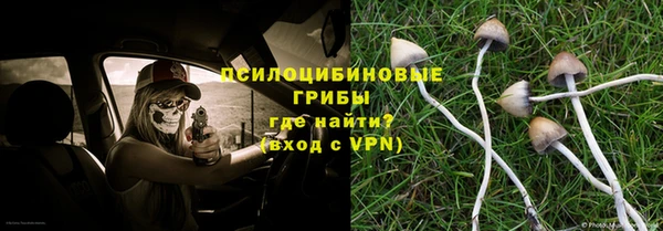молекула духа Балахна