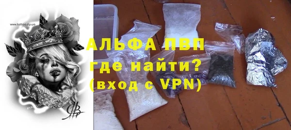 молекула духа Балахна
