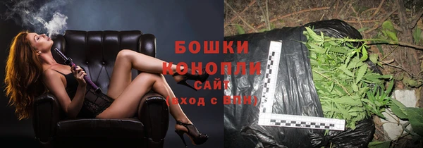 молекула духа Балахна