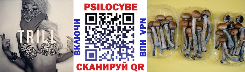 Псилоцибиновые грибы Magic Shrooms Кочубеевское