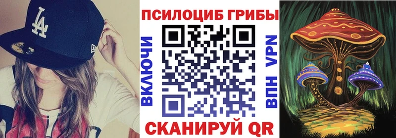 где найти наркотики  Кочубеевское  mega рабочий сайт  Галлюциногенные грибы прущие грибы 